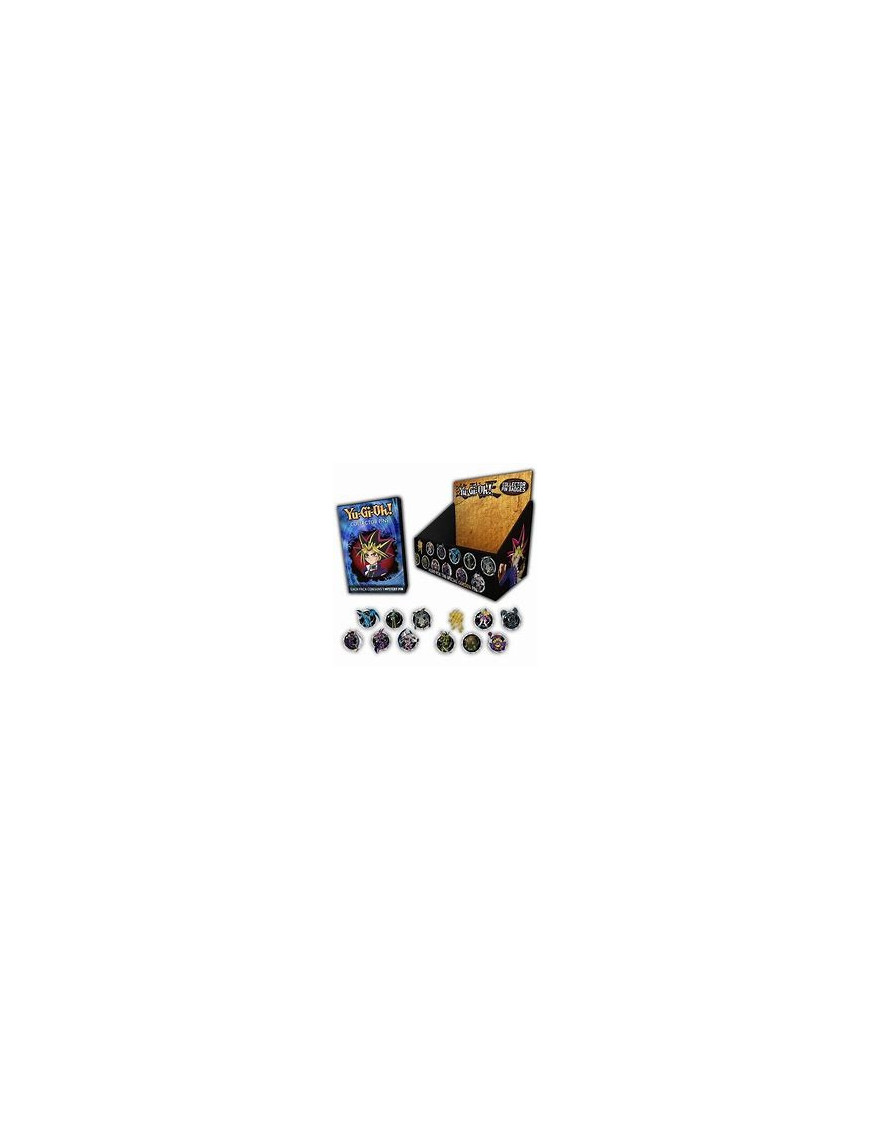 PINS COLLECTOR MYSTERE