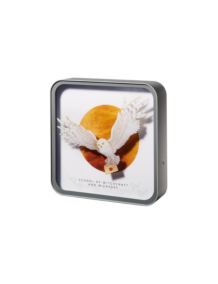 Harry Potter - Hedgwig avec Lettre - Lampe de bureau 3D